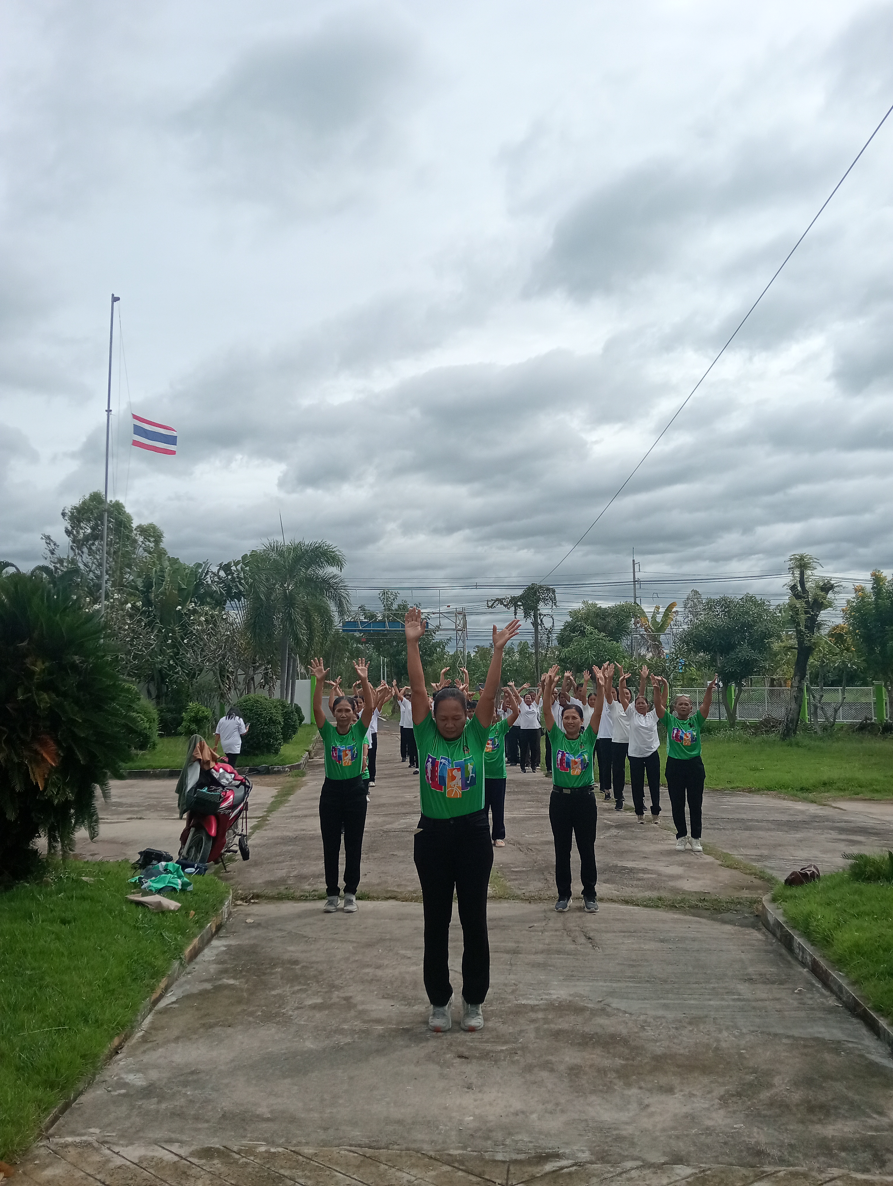 courses